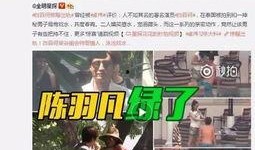 东华村特大爆料事件视频,揭秘背后惊人真相